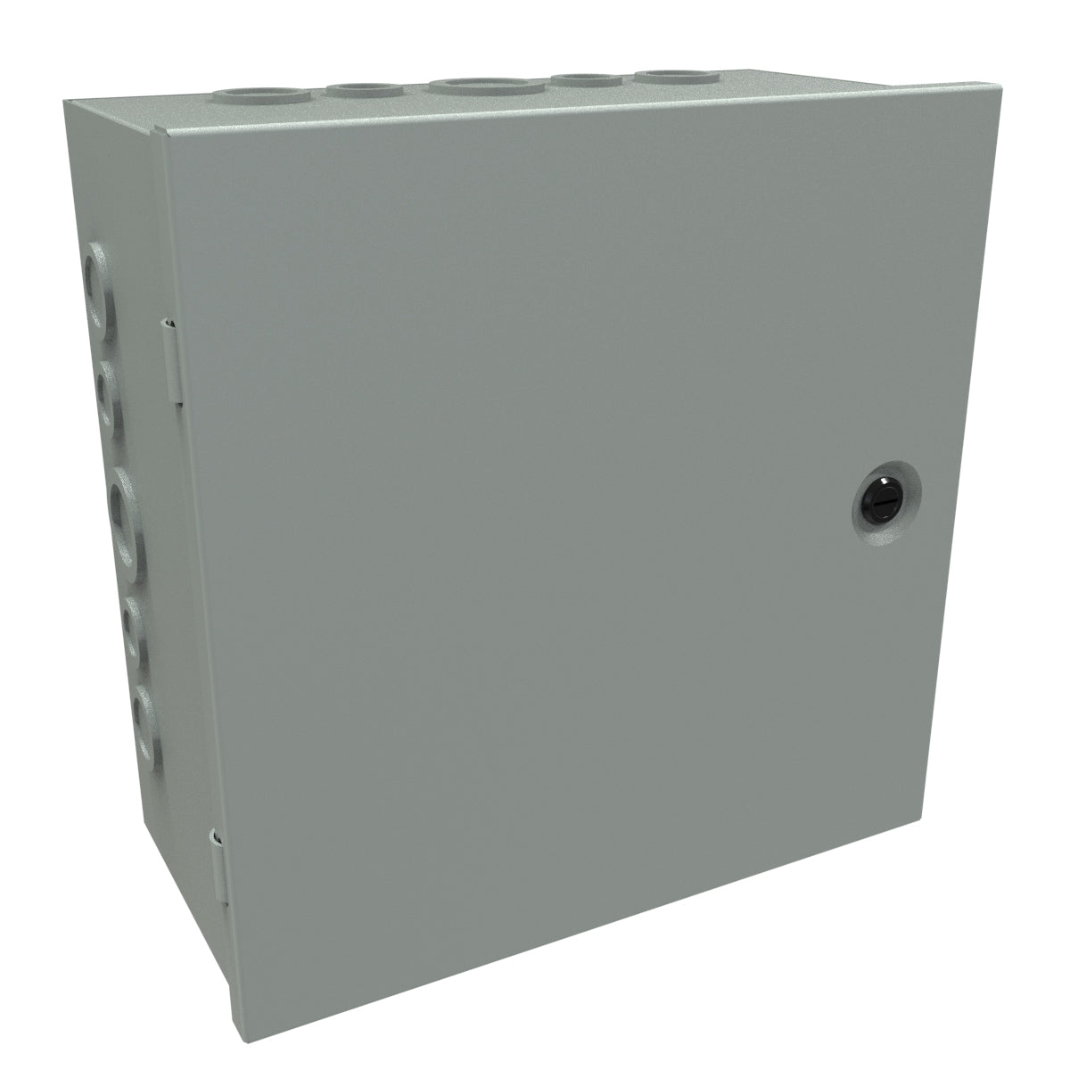 Caja de acero Hammond CHKO12126 con puerta con bisagras, 12 x 12 x 6 pulgadas