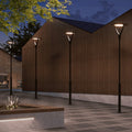Post Tops & Area Lights